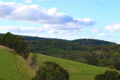 Farm For Sale - VIC - Won Wron - 3971 - ULTIMATE PANORAMIC VIEWS (PRICE ADJUSTED -12/6/24)
LUSH GIPPSLAND ACREAGE - 73 ACRES
3 BEDROOM HOME WITH AMPLE SHEDDING

THIS IS ONE WITH THE LOT  (Image 2)