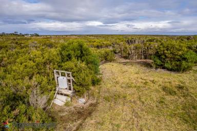 Farm For Sale - VIC - Port Albert - 3971 - Sprawling 8.6 Acres of Vacant Land with Utilities Connected. Unbeatable Opportunity at $298K. Act Fast / Make Offer!  (Image 2)