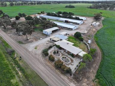 Farm Auction - VIC - Lockwood - 3551 - Lazenby's Farm No 2  (Image 2)