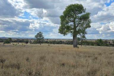 Farm Auction - QLD - Wallumbilla - 4428 - BEAUTIFUL BALANCE OF COUNTRY  (Image 2)