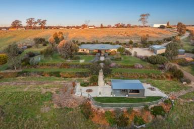 Farm For Sale - VIC - Axedale - 3551 - Rural Elegance with Riverfront Serenity  (Image 2)