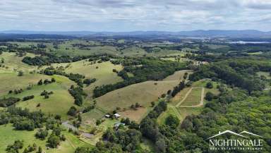 Farm For Sale - QLD - Danbulla - 4872 - Private I Grazing I Rainforest  (Image 2)