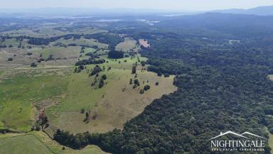 Farm For Sale - QLD - Danbulla - 4872 - Private I Grazing I Rainforest  (Image 2)