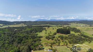 Farm For Sale - QLD - Danbulla - 4872 - Private I Grazing I Rainforest  (Image 2)