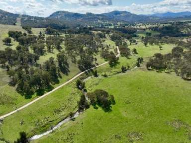 Farm For Sale - NSW - Willow Tree - 2339 - Fertile Soils, Abundance of Natural Water & Stunning Scenery  (Image 2)