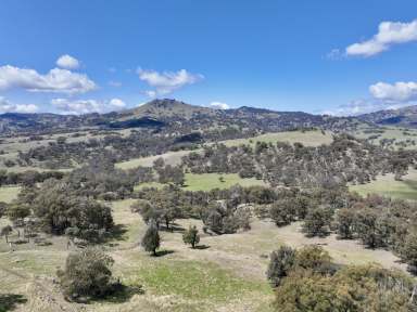 Farm For Sale - NSW - Willow Tree - 2339 - Fertile Soils, Abundance of Natural Water & Stunning Scenery  (Image 2)