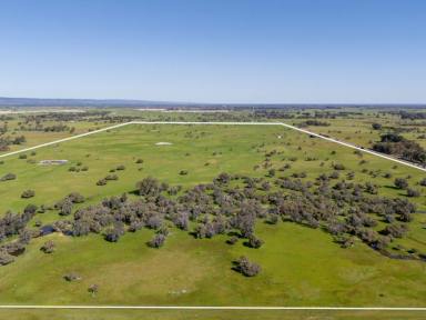 Farm For Sale - WA - Keysbrook - 6126 - Strategic 295 acre landholding in Keysbrook  (Image 2)