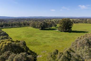 Farm For Sale - WA - Nambeelup - 6207 - Black Rock Farm - pristine pastures  (Image 2)