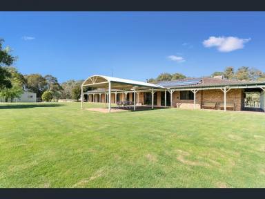 Farm For Sale - WA - North Dandalup - 6207 - "Kellaway" - 50 acres of exclusive, peaceful paradise  (Image 2)