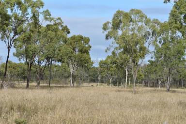 Farm Auction - QLD - Bogie - 4805 - "Glenroc Station"     
Don't miss this opportunity to acquire a well-equipped and well-located property.  (Image 2)