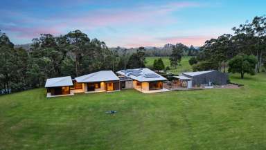 Farm Sold - NSW - East Seaham - 2324 - Australian Country Living  (Image 2)