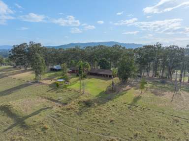 Farm For Sale - NSW - East Gresford - 2311 - As Good As Country Life Gets  (Image 2)