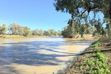 Farm Auction - QLD - Longreach - 4730 - A host of possibilities  (Image 2)