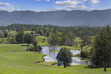 Farm For Sale - NSW - Brays Creek - 2484 - "Hazelnook" - Quality Cattle Opportunity, Quality lifestyle - Tweed Valley NSW  (Image 2)