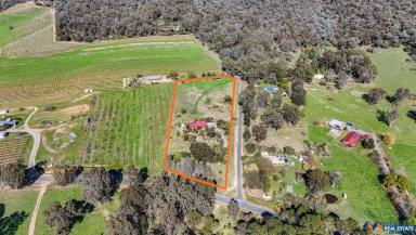 Farm For Sale - VIC - Myrtleford - 3737 - Serene Country Living  (Image 2)