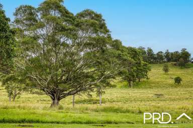 Farm For Sale - NSW - Kyogle - 2474 - The Fig Tree Estate Kyogle  (Image 2)