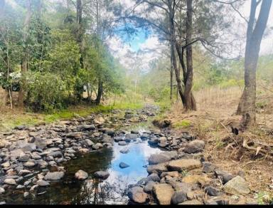 Farm For Sale - QLD - Sarina - 4737 - 132 ACRES FREEHOLD WITH 5 BAY POWERED SHED AND WATER  (Image 2)