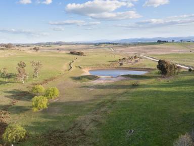 Farm Auction - NSW - Murrumbateman - 2582 - True Country Freedom An Easy 35mins* from the Nation's Capital  (Image 2)