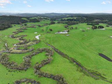 Farm For Sale - VIC - Forrest - 3236 - FIRST CLASS OTWAY DISTRICT PROPERTY  (Image 2)