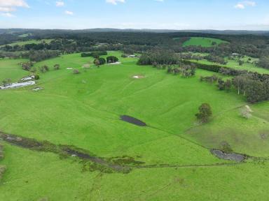 Farm For Sale - VIC - Forrest - 3236 - FIRST CLASS OTWAY DISTRICT PROPERTY  (Image 2)