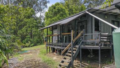 Farm For Sale - NSW - Nimbin - 2480 - For Sale - Hinterland Sanctuary  (Image 2)