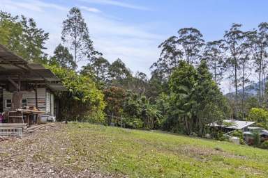 Farm For Sale - NSW - Nimbin - 2480 - Nimbin NSW  (Image 2)