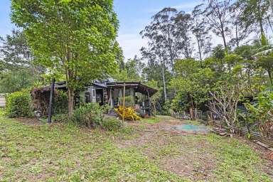 Farm For Sale - NSW - Nimbin - 2480 - Nimbin NSW  (Image 2)