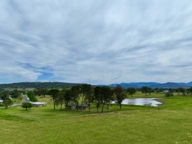 Farm For Sale - NSW - Scone - 2337 - Is This The Best Value In The Upper Hunter?  (Image 2)