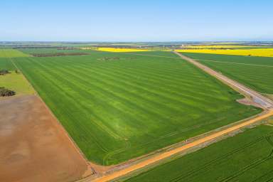 Farm For Sale - VIC - Sheep Hills - 3392 - Premium Wimmera Cropping Opportunities  (Image 2)