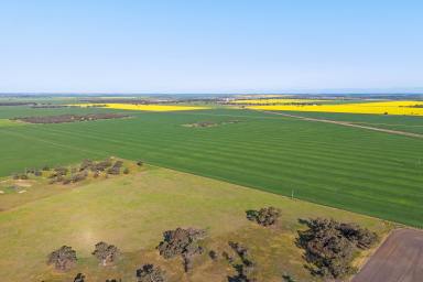 Farm For Sale - VIC - Sheep Hills - 3392 - Premium Wimmera Cropping Opportunities  (Image 2)