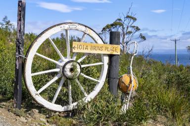 Farm For Sale - TAS - White Beach - 7184 - Prime Coastal Acreage with Unparalleled Panoramic Views  (Image 2)