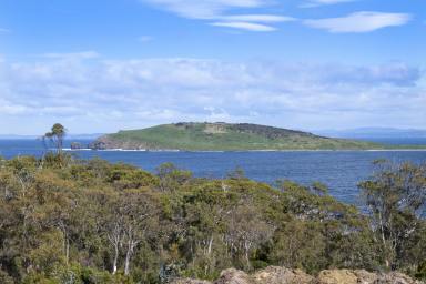 Farm For Sale - TAS - White Beach - 7184 - Prime Coastal Acreage with Unparalleled Panoramic Views  (Image 2)