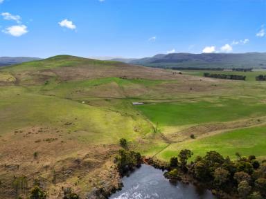 Farm For Sale - TAS - Ouse - 7140 - "Lachlan Vale"  (Image 2)