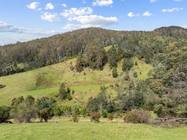 Farm For Sale - TAS - Pyengana - 7216 - Grazing, Timber, Rainfall  (Image 2)