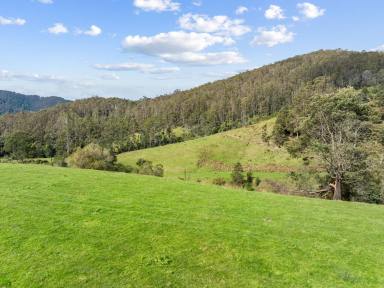 Farm For Sale - TAS - Pyengana - 7216 - Grazing, Timber, Rainfall  (Image 2)