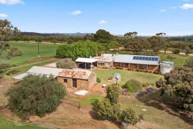 Farm For Sale - SA - Seppeltsfield - 5355 - FULFIL YOUR DREAM TO RESIDE IN THE ICONIC BAROSSA OR CREATE AN IDYLLIC RETREAT  (Image 2)