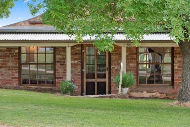 Farm For Sale - SA - Seppeltsfield - 5355 - FULFIL YOUR DREAM TO RESIDE IN THE ICONIC BAROSSA OR CREATE AN IDYLLIC RETREAT  (Image 2)