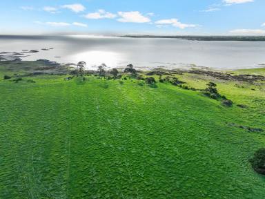 Farm For Sale - VIC - Corunnun - 3249 - NOTED HISTORIC COLAC DISTRICT PROPERTY  (Image 2)