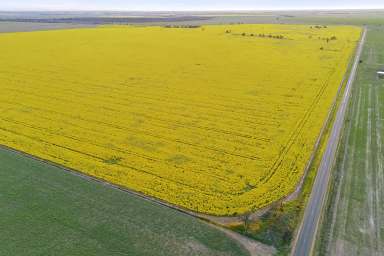 Farm For Sale - VIC - Avon Plains - 3477 - Productive Wimmera Cropping Opportunity  (Image 2)