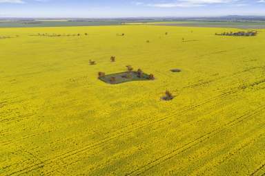 Farm For Sale - VIC - Avon Plains - 3477 - Productive Wimmera Cropping Opportunity  (Image 2)