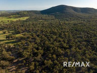 Farm For Sale - NSW - Bethungra - 2590 - 852 ACRES  (Image 2)