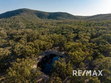 Farm For Sale - NSW - Bethungra - 2590 - 852 ACRES  (Image 2)