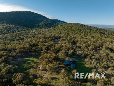 Farm For Sale - NSW - Bethungra - 2590 - 852 ACRES  (Image 2)