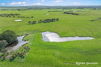 Farm For Sale - VIC - Buffalo - 3958 - 155 Acres of Prime Grazing Land  (Image 2)