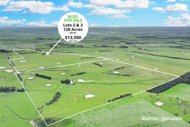 Farm For Sale - VIC - Buffalo - 3958 - 155 Acres of Prime Grazing Land  (Image 2)