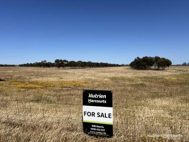 Farm For Sale - WA - Nangeenan - 6414 - TWO HUNDRED ACRES OF RURAL FARMLAND IN THE SHIRE OF MERREDIN  (Image 2)