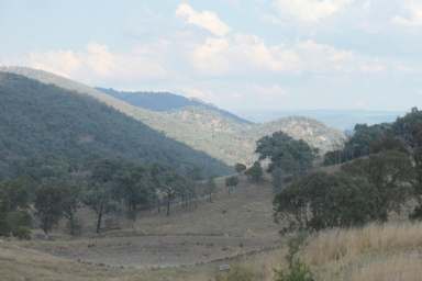 Farm For Sale - NSW - Woodside - 2372 - LIVING THE DREAM  (Image 2)