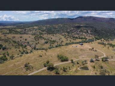 Farm For Sale - NSW - Woodside - 2372 - LIVING THE DREAM  (Image 2)