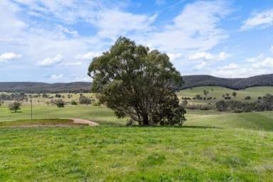 Farm Expressions of Interest - VIC - Tooborac - 3522 - A rare historic lifestyle opportunity  (Image 2)