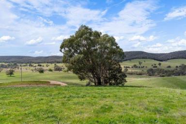 Farm Expressions of Interest - VIC - Tooborac - 3522 - A rare historic lifestyle opportunity  (Image 2)